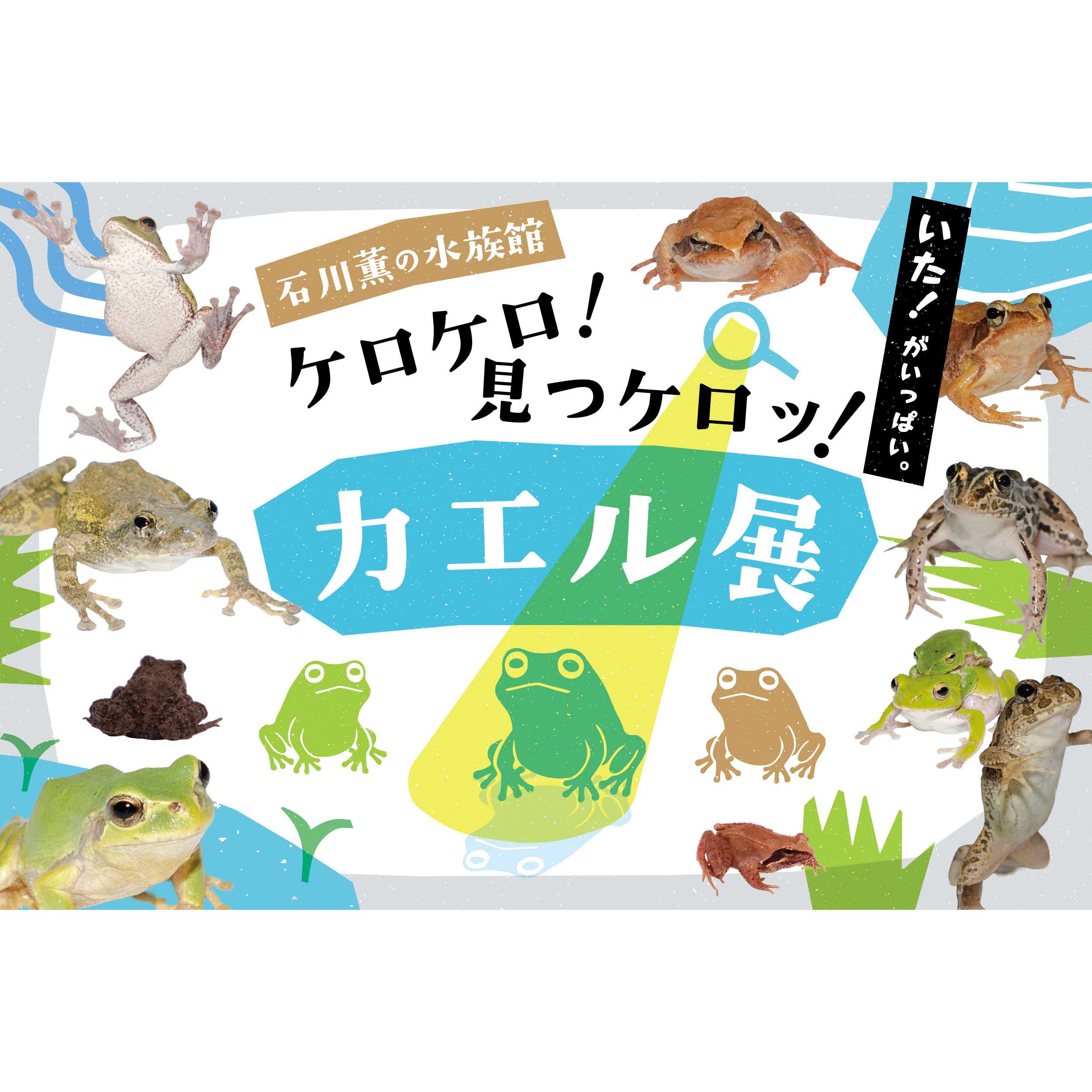リリース