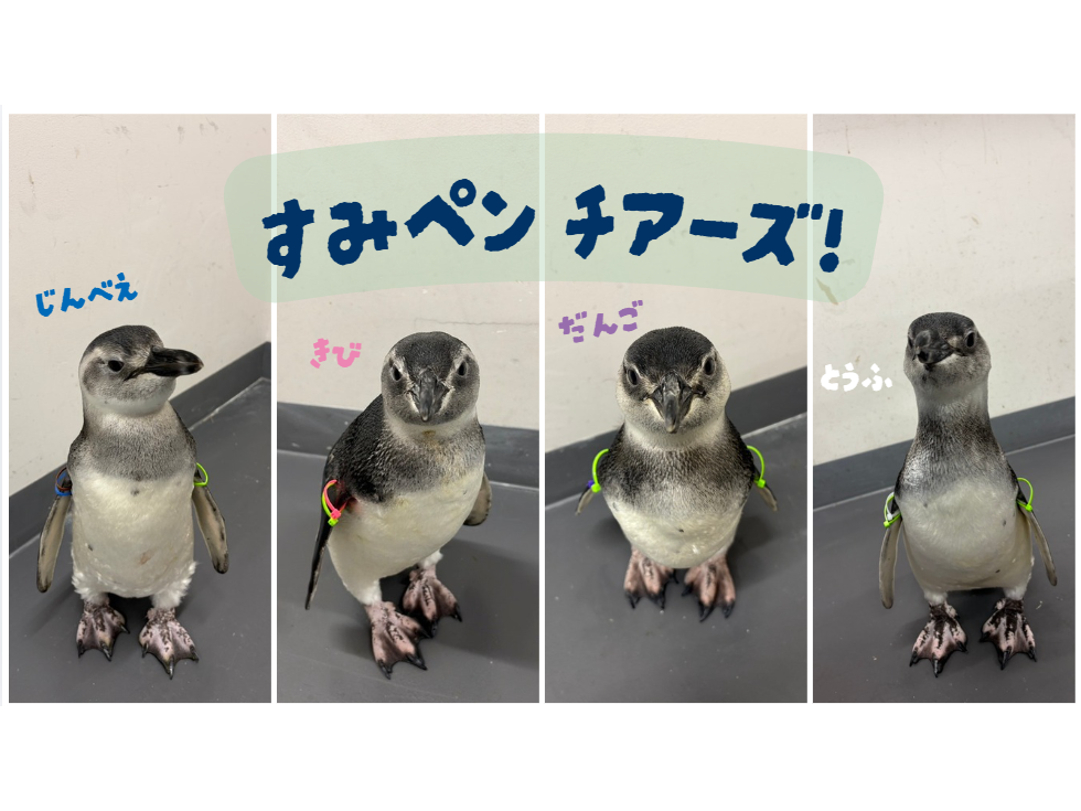 オリックス株式会社