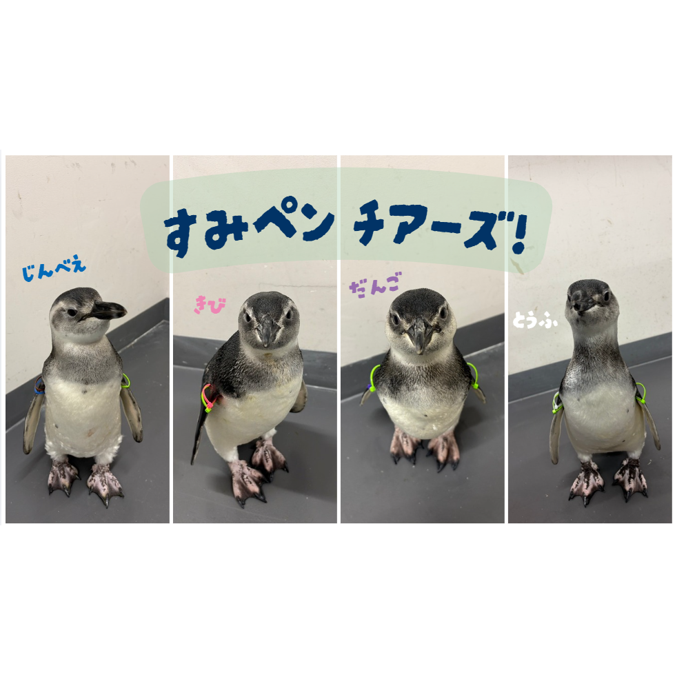 オリックス株式会社