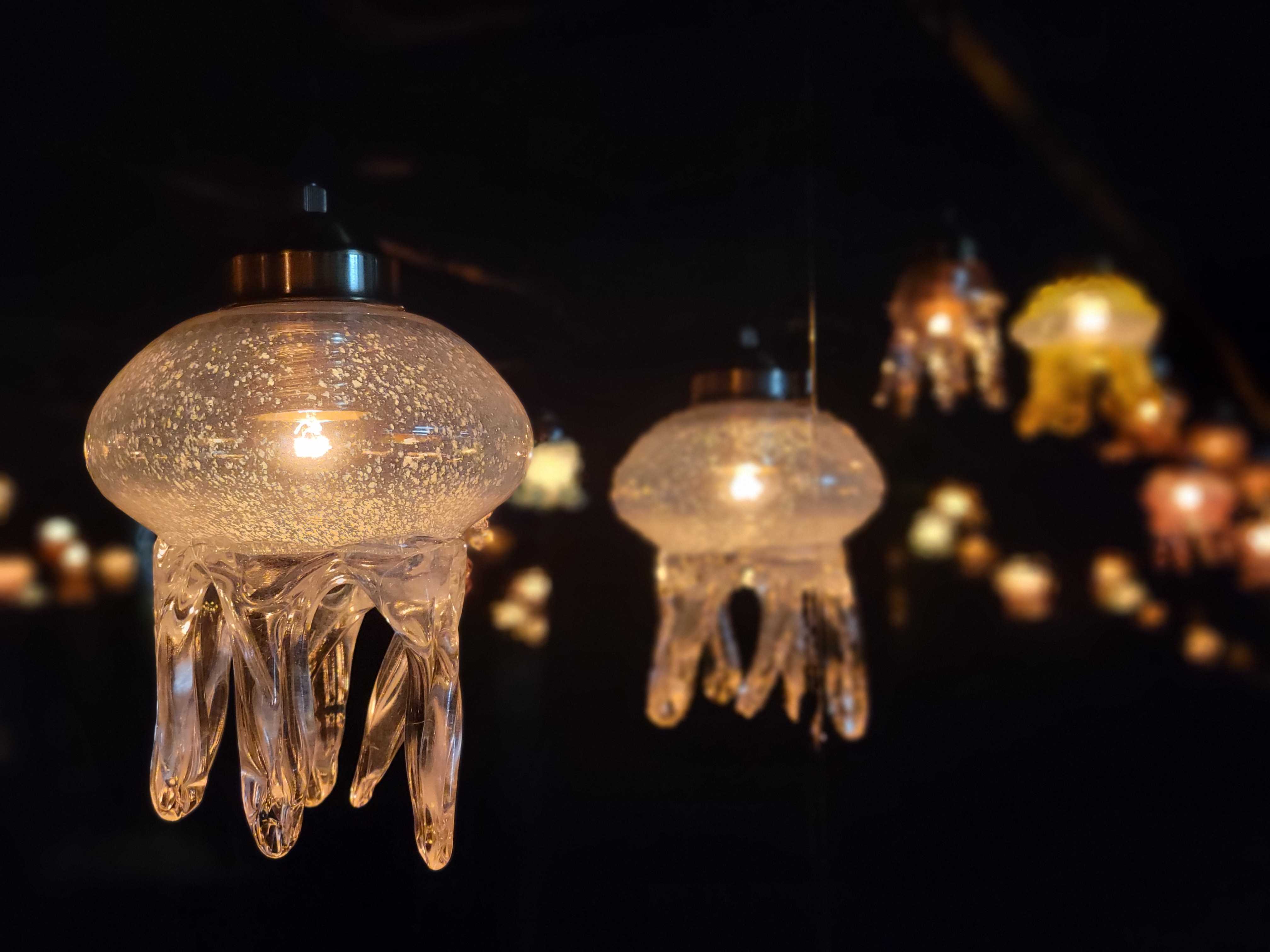 京都水族館】幻想的なクラゲランプで冬をあたたかくともす 「くらげの