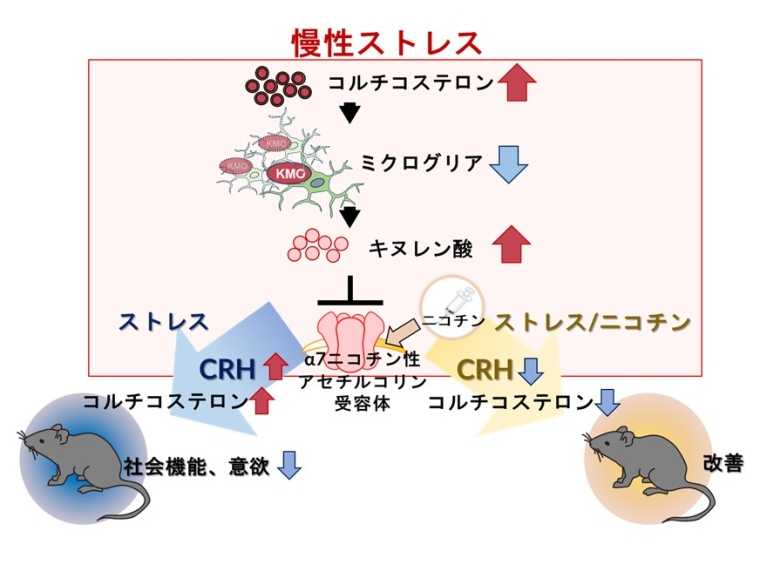 学校法人藤田学園