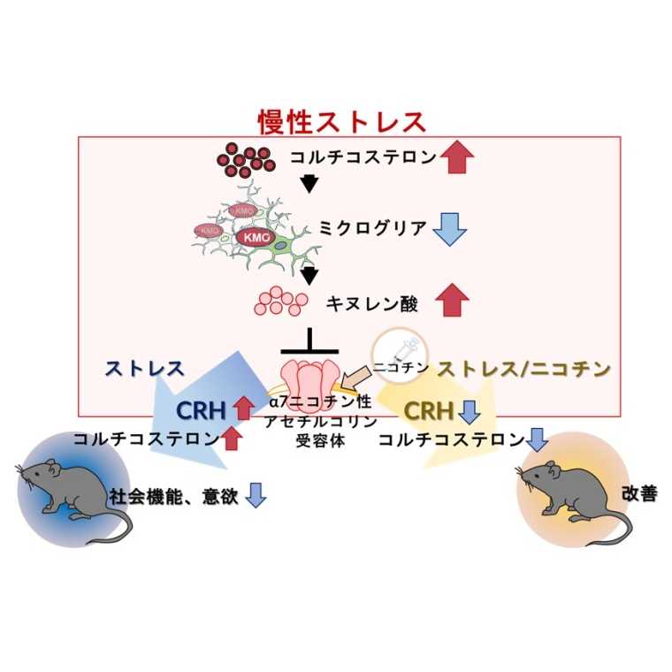 学校法人藤田学園