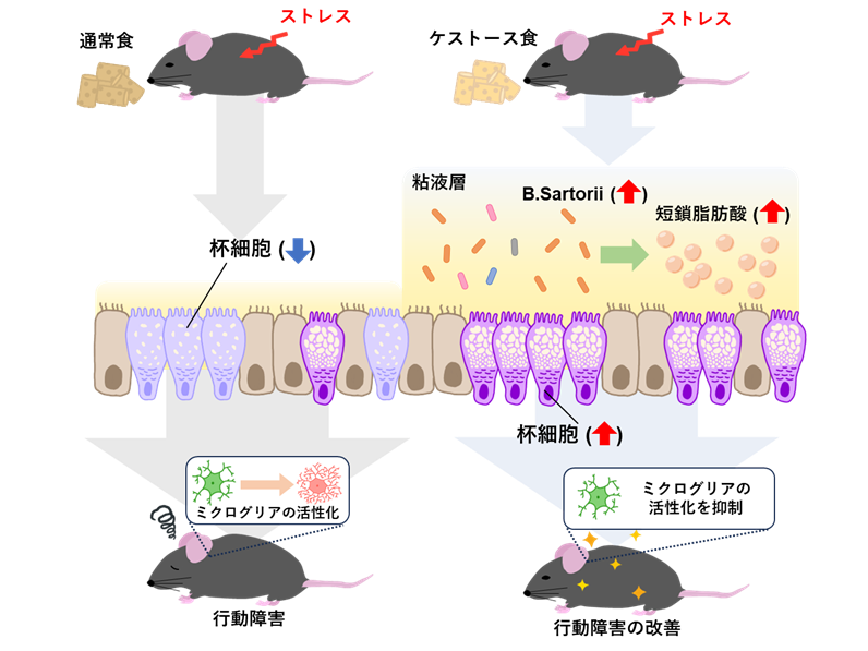 学校法人藤田学園