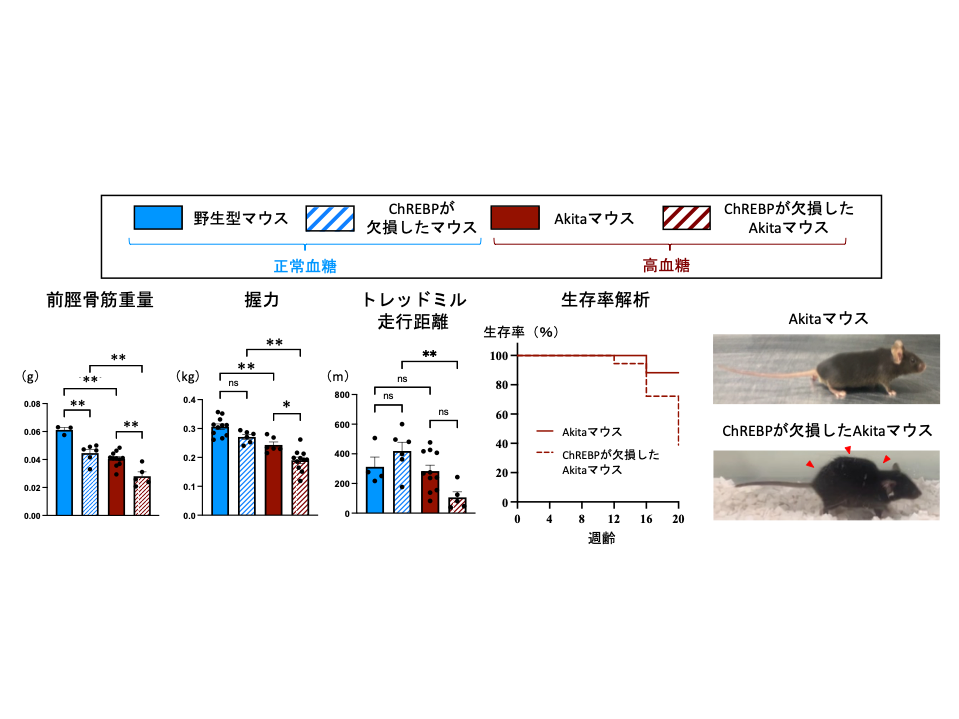 学校法人藤田学園