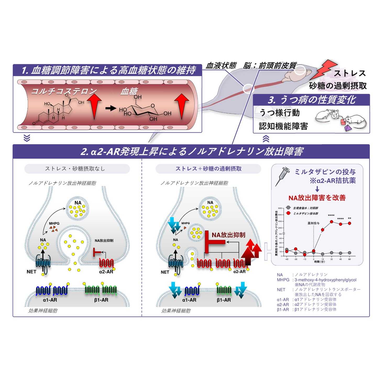 学校法人藤田学園