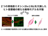 学校法人藤田学園