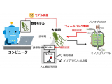 藤田医科大学