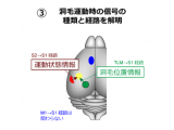 学校法人藤田学園