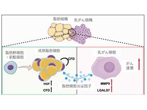 学校法人藤田学園