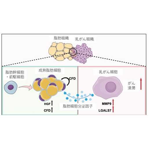 学校法人藤田学園