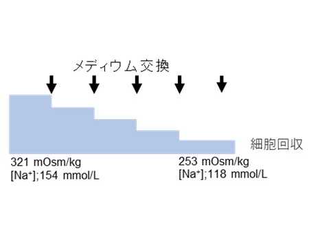 学校法人藤田学園