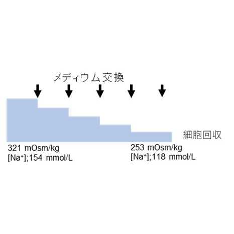 学校法人藤田学園