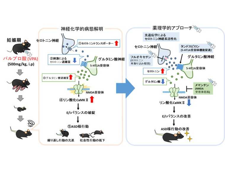 学校法人藤田学園