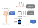 兵庫県立大学