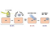 兵庫県立大学