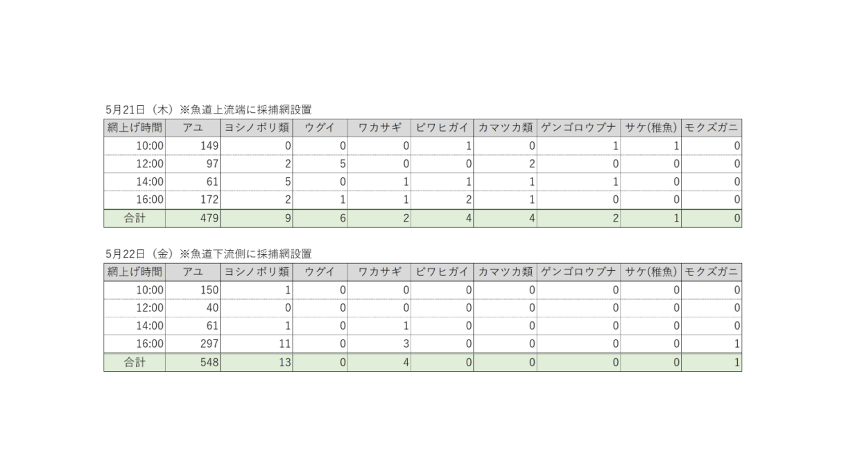 弘前大学