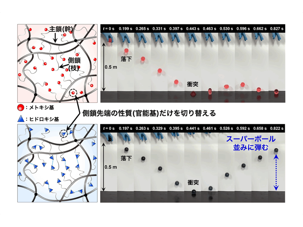 弘前大学