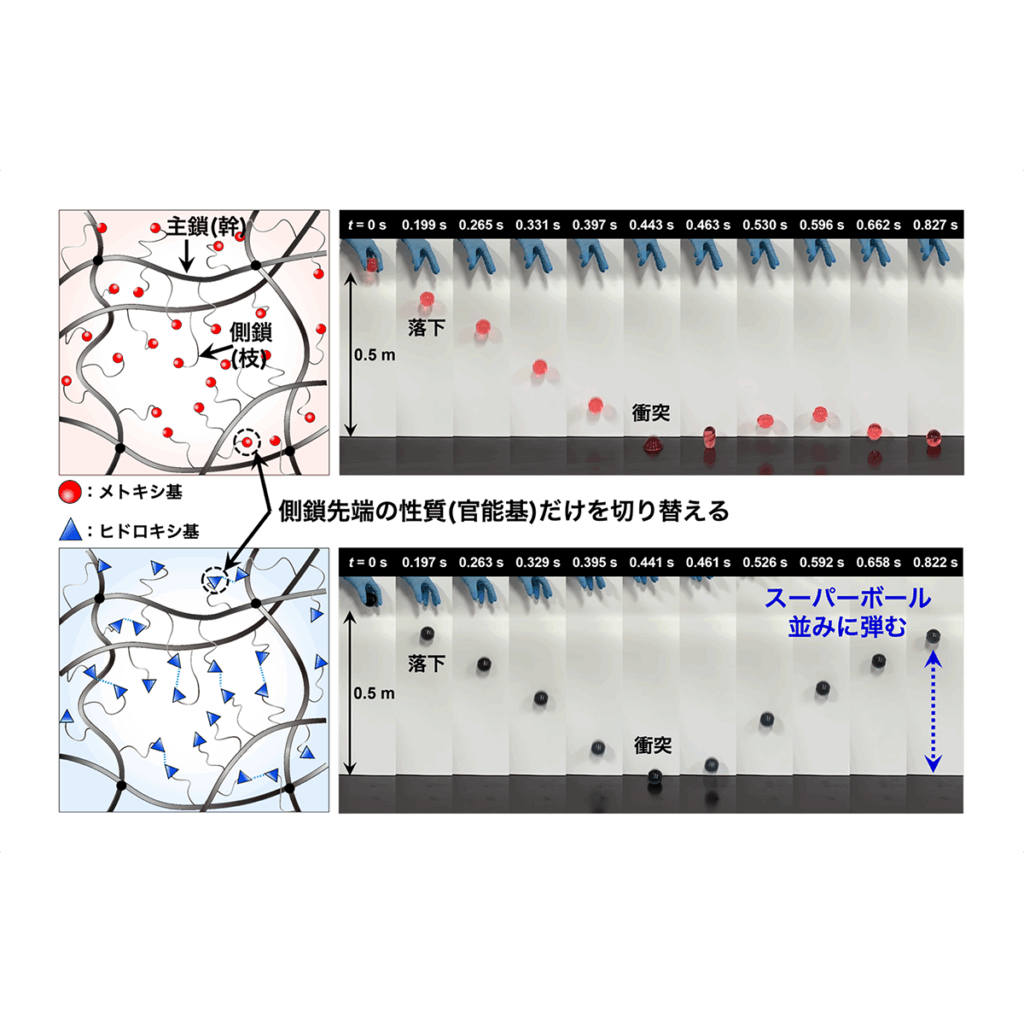 弘前大学