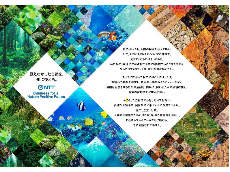 NTT株式会社