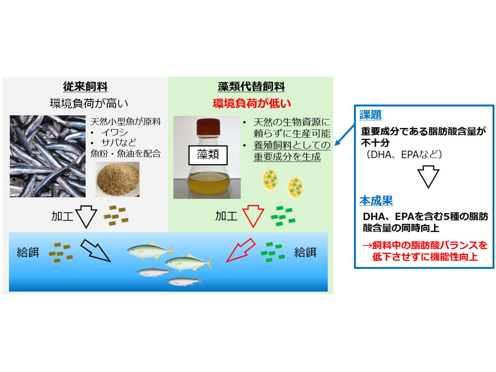 NTT株式会社