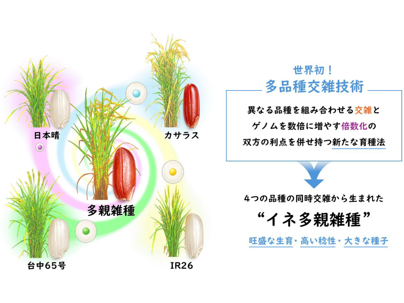 NTT株式会社