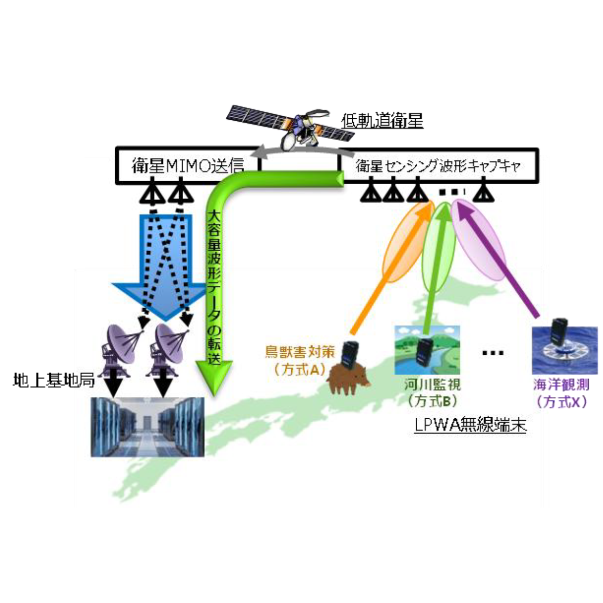 NTT株式会社
