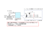 日本電信電話株式会社