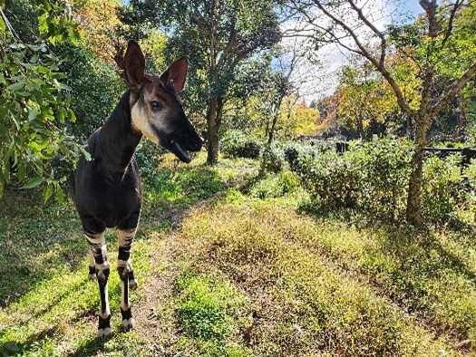 京浜急行電鉄株式会社