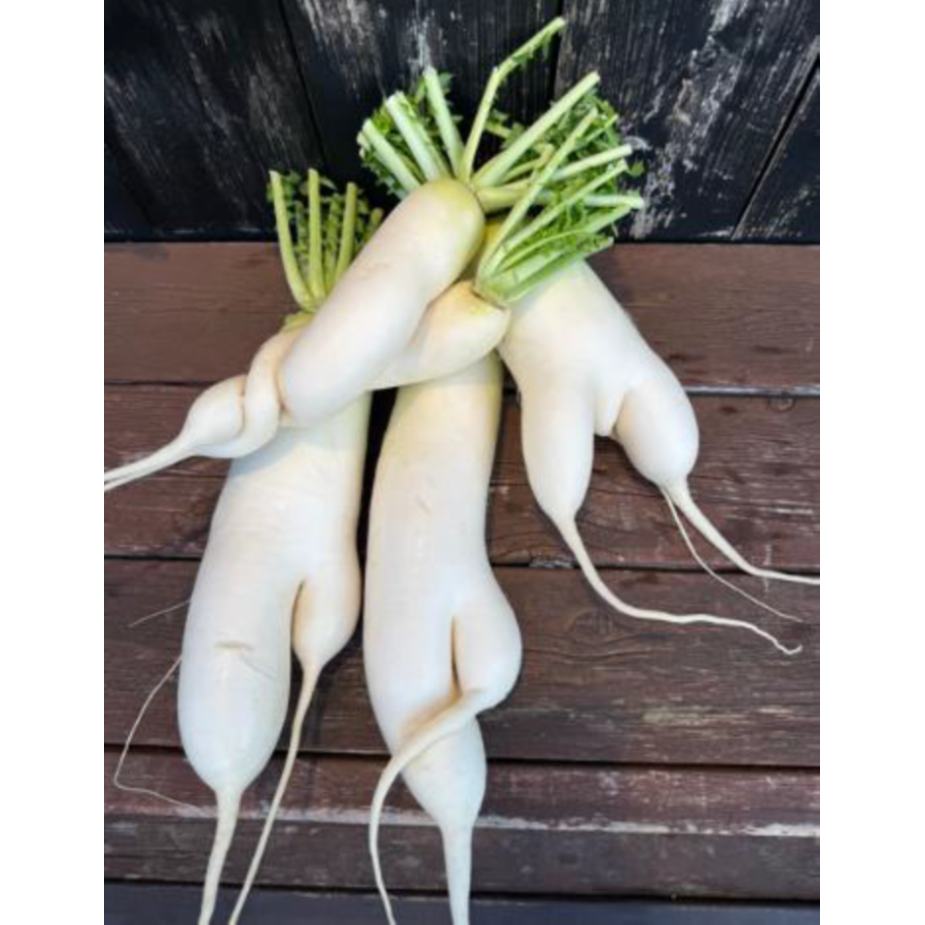 京浜急行電鉄株式会社