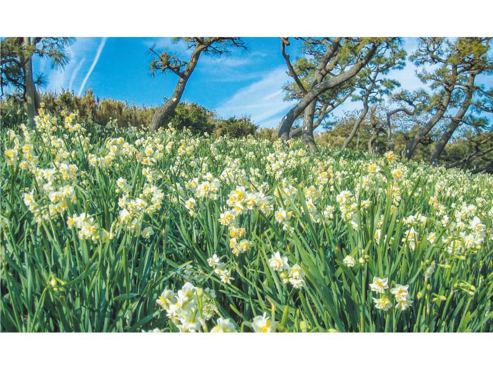 京浜急行電鉄株式会社