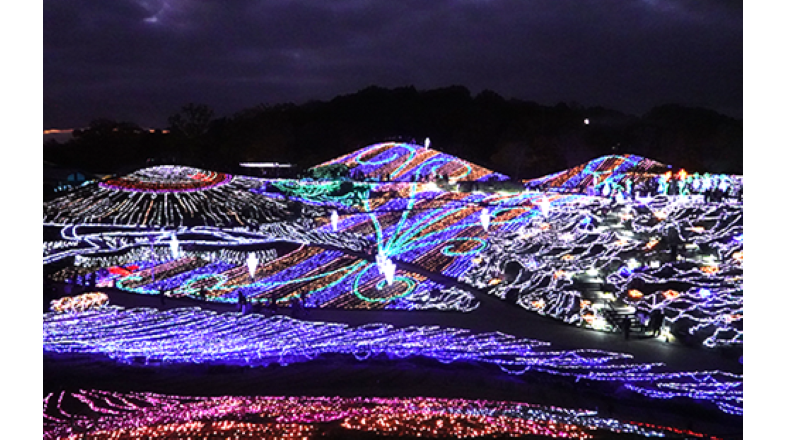 香川大学