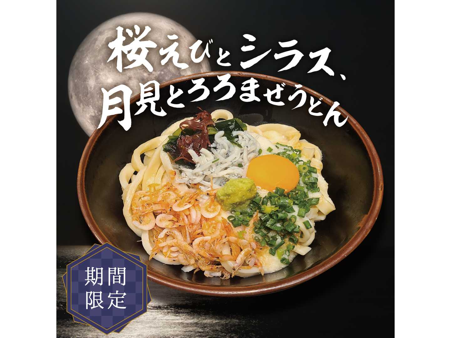 WDI JAPAN