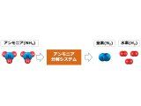 株式会社日本触媒