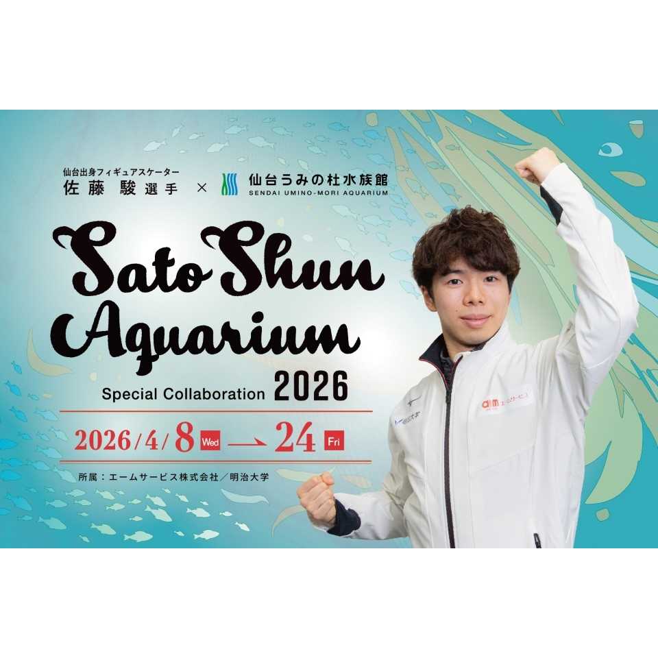 エームサービス株式会社