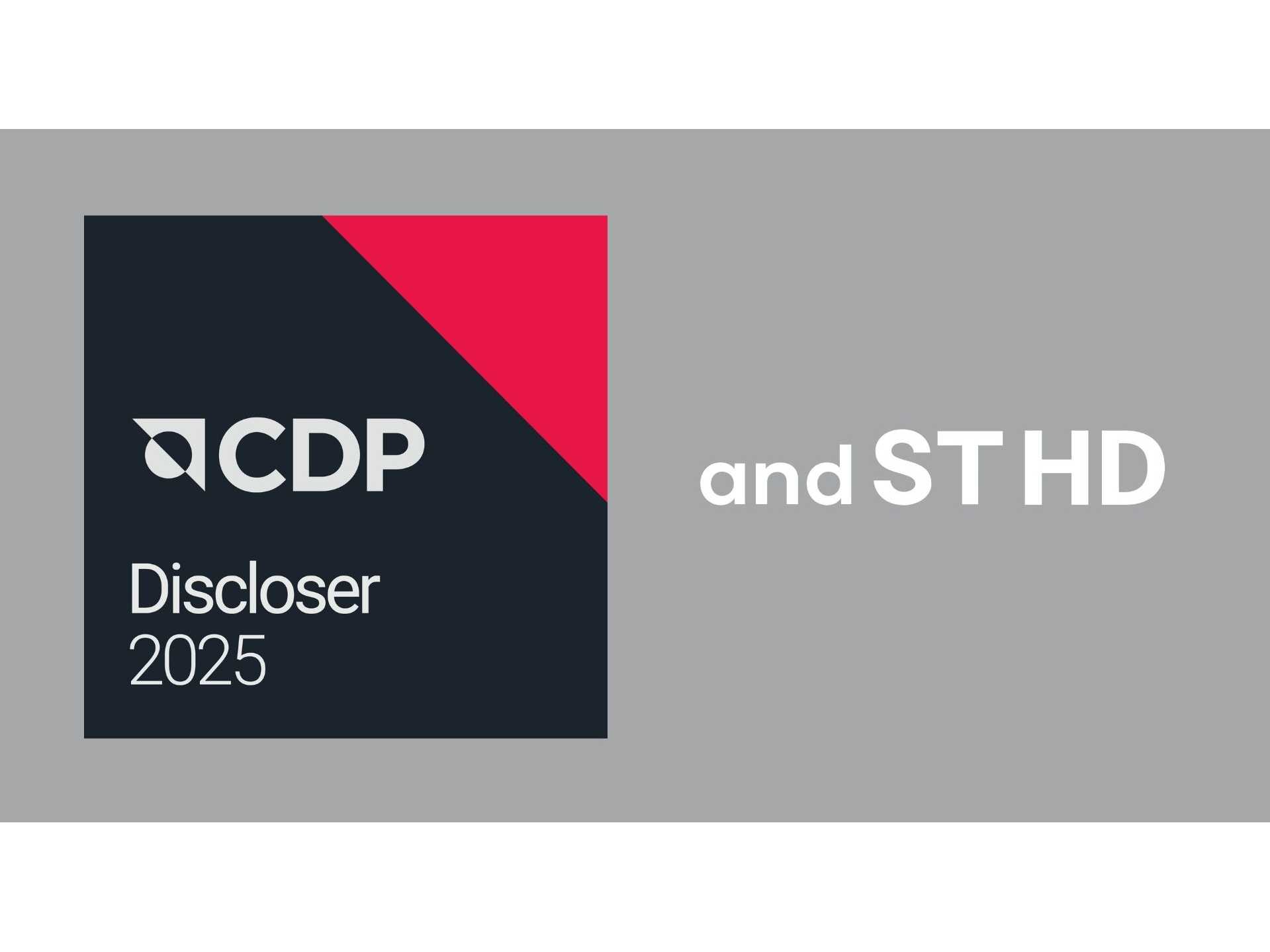 株式会社アンドエスティHD