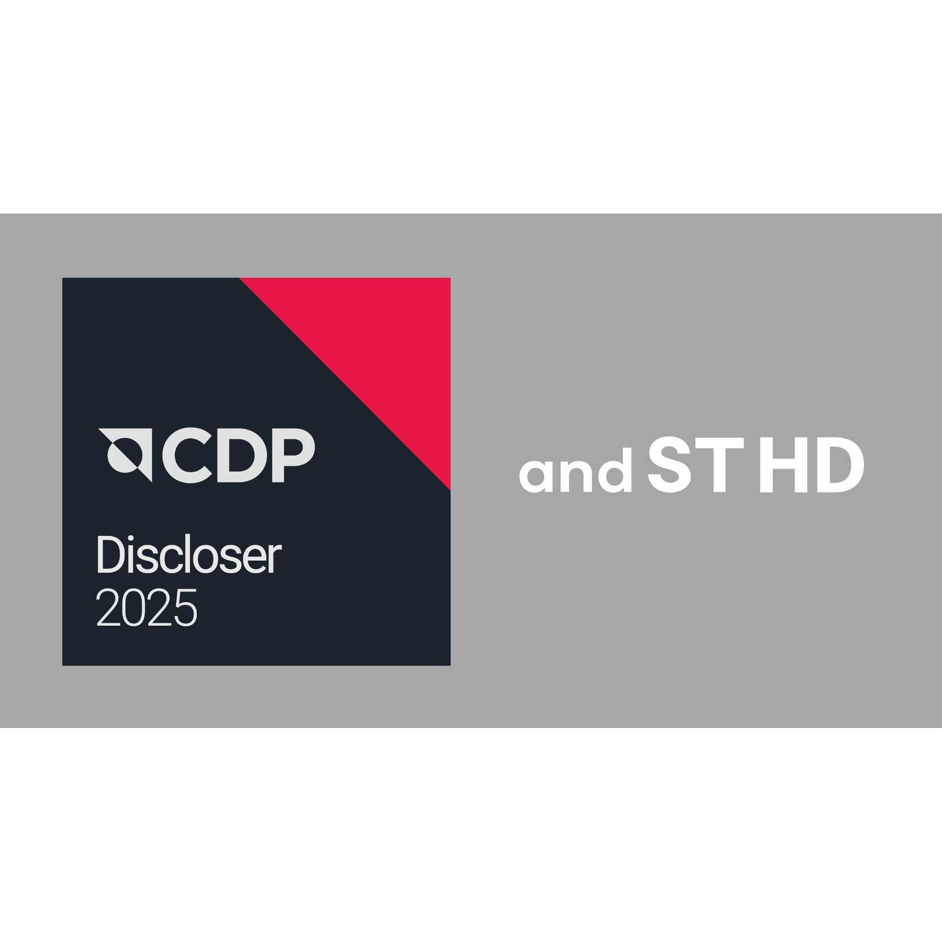 株式会社アンドエスティHD