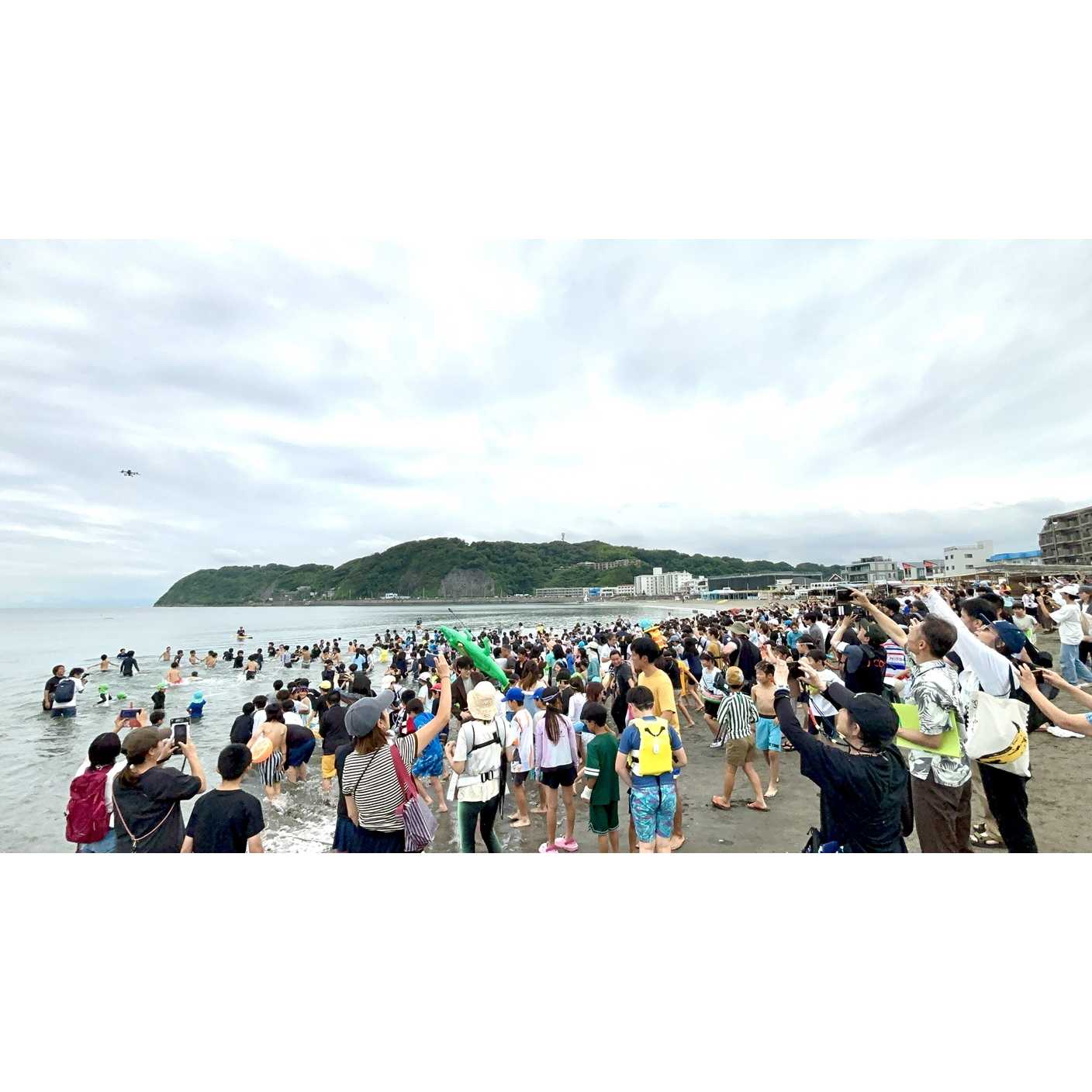 リリース