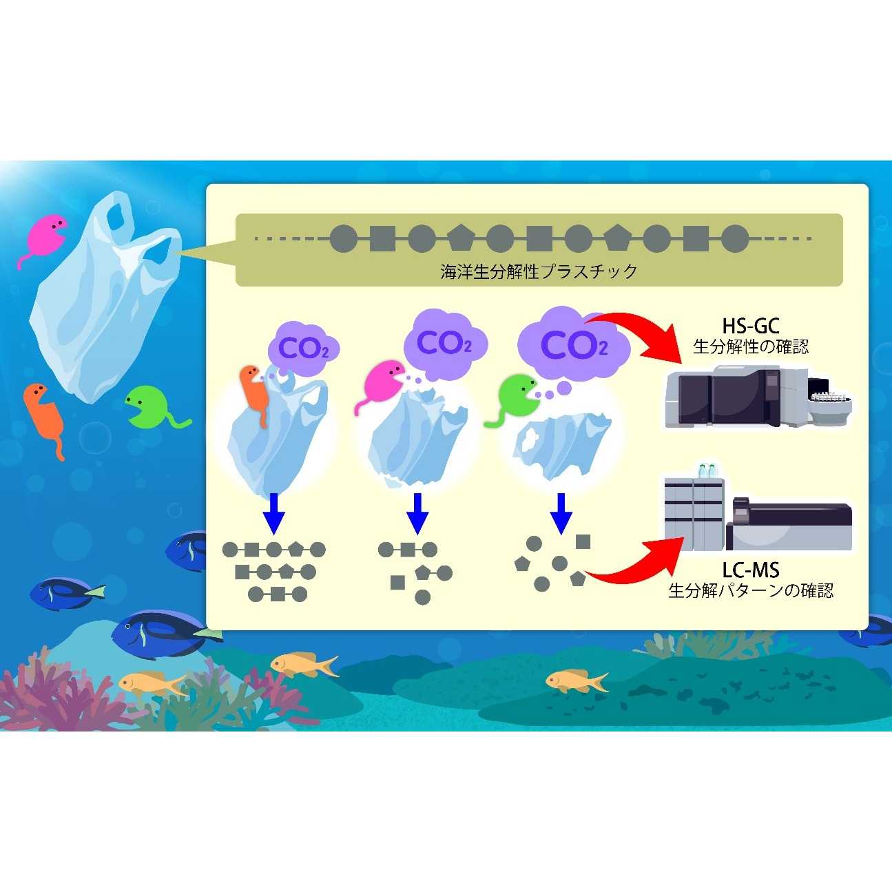 独立行政法人製品評価技術基盤機構