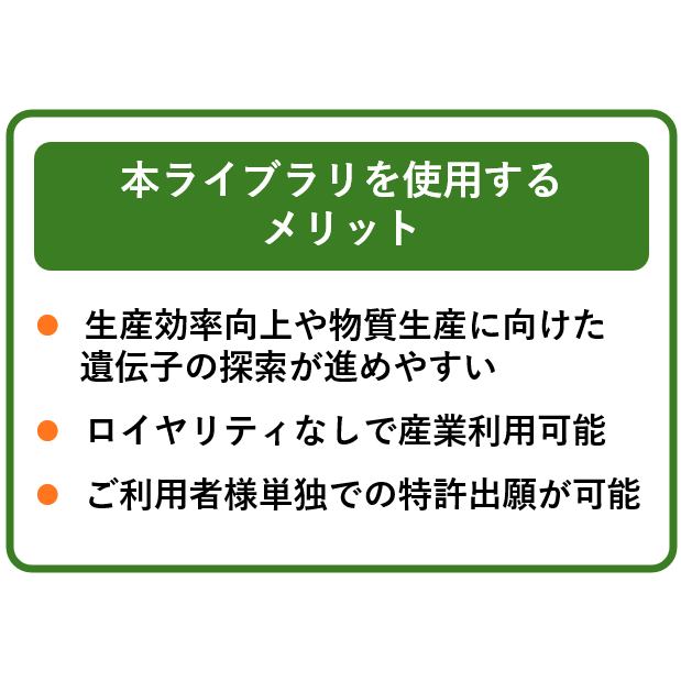 リリース