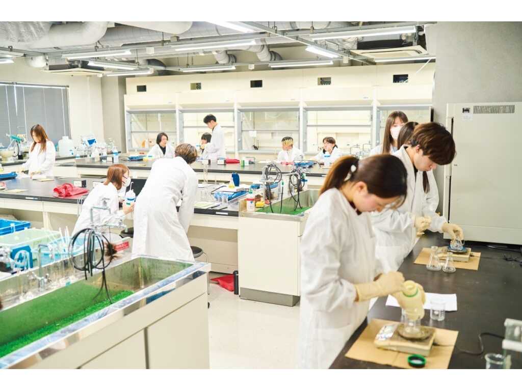甲南大学