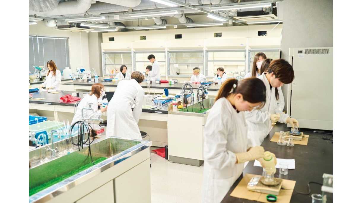甲南大学