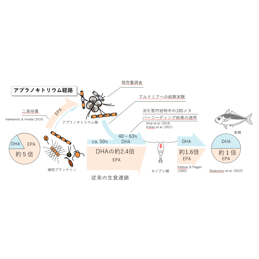リリース