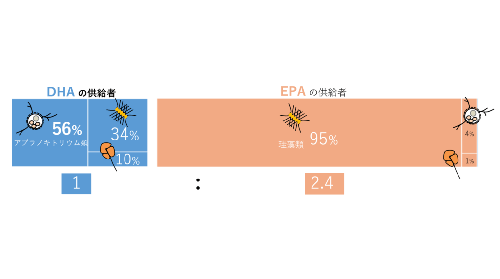 甲南大学