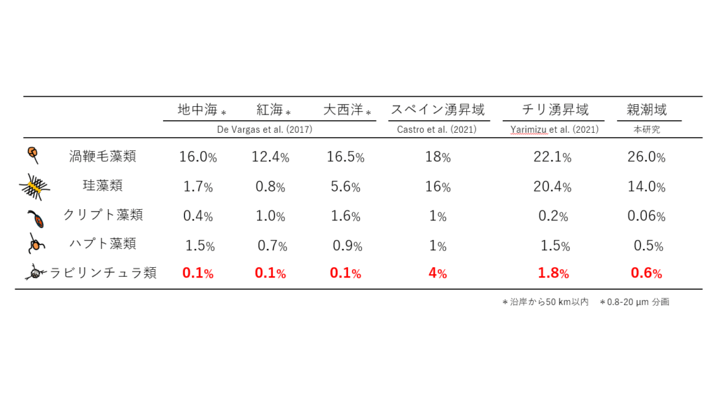 甲南大学