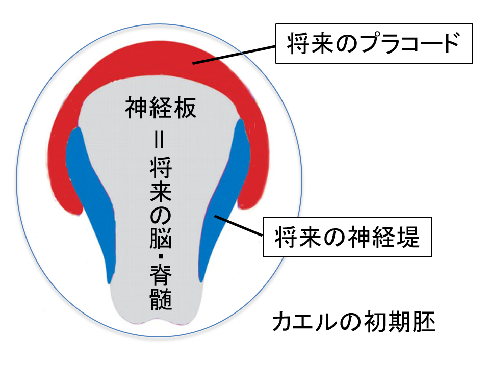 甲南大学