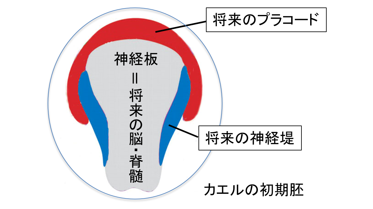 甲南大学