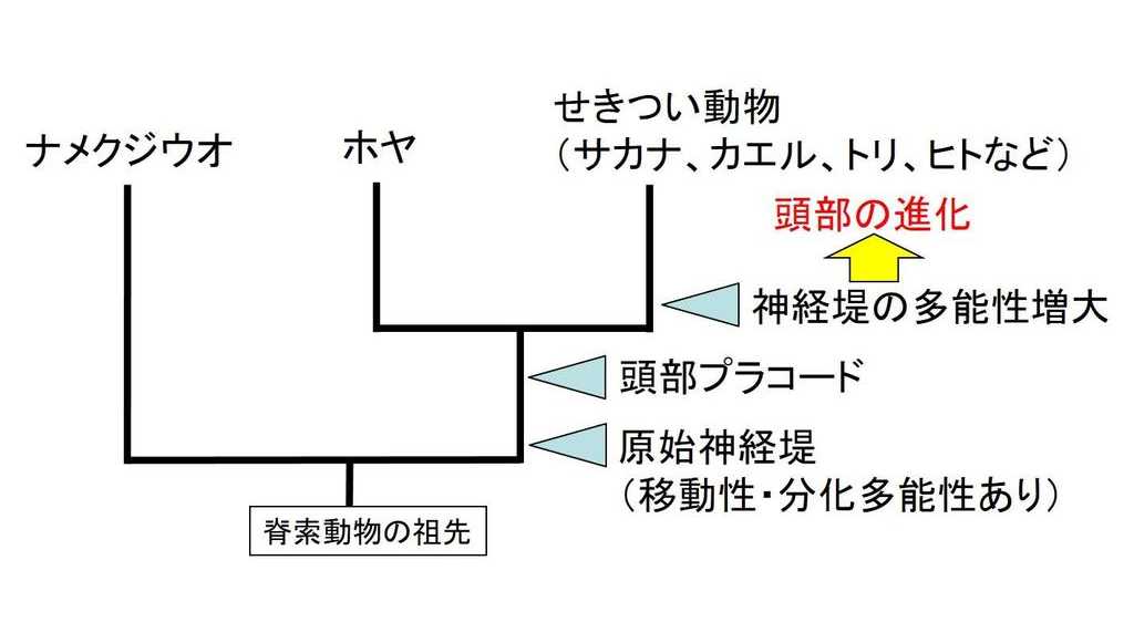 甲南大学