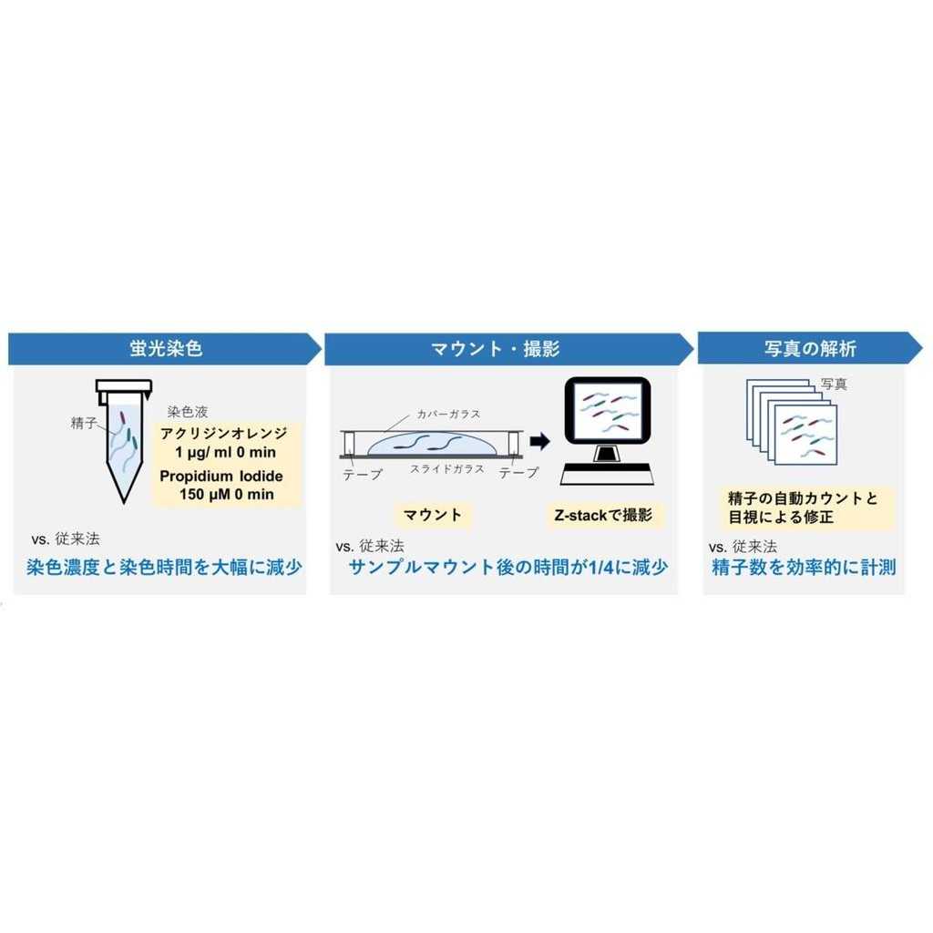 甲南大学