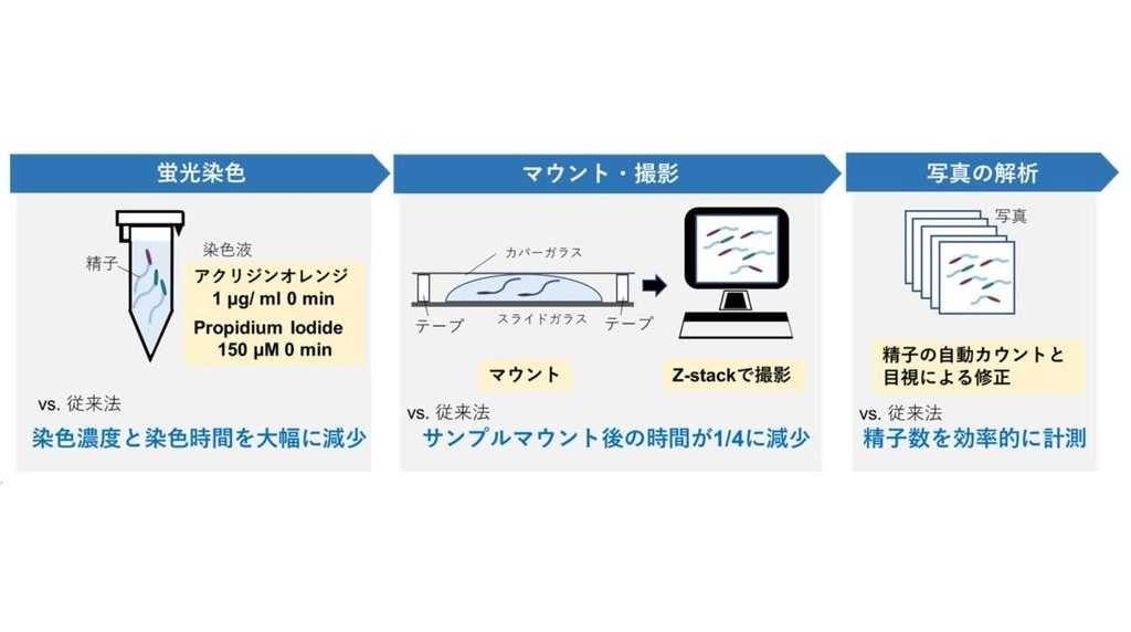 甲南大学