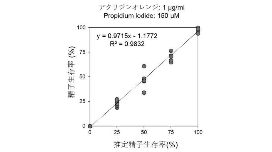 甲南大学